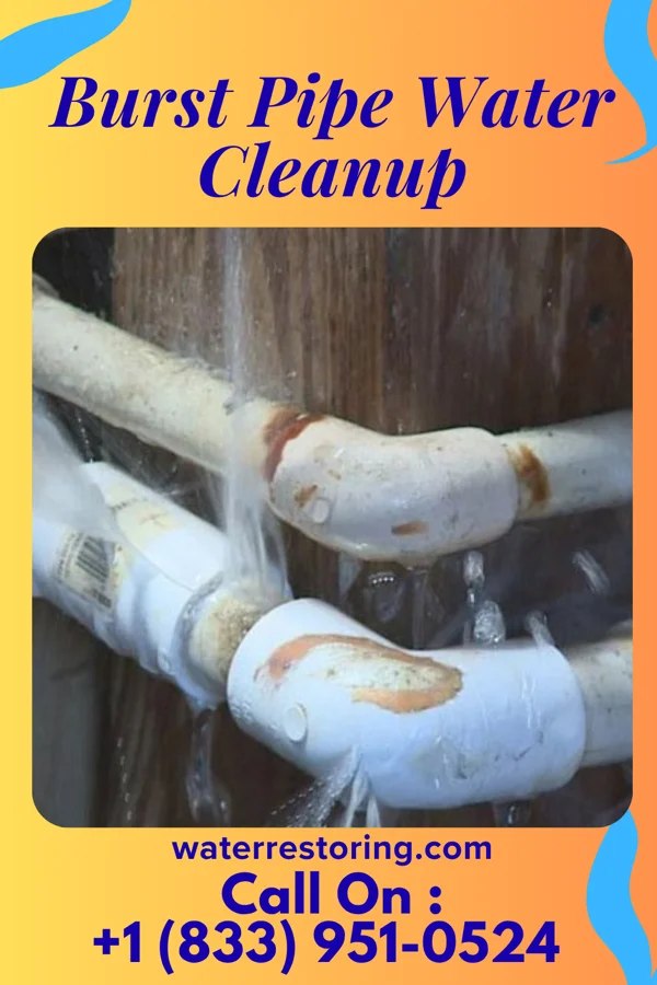 Burst Pipe Water Cleanup in Norwood, NC