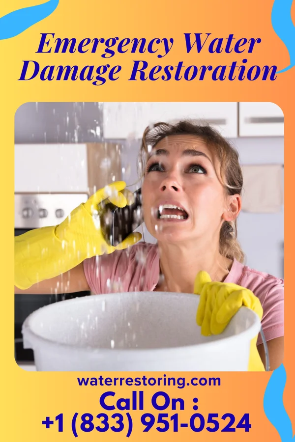 Emergency Water Damage Restoration in Norwood, NC
