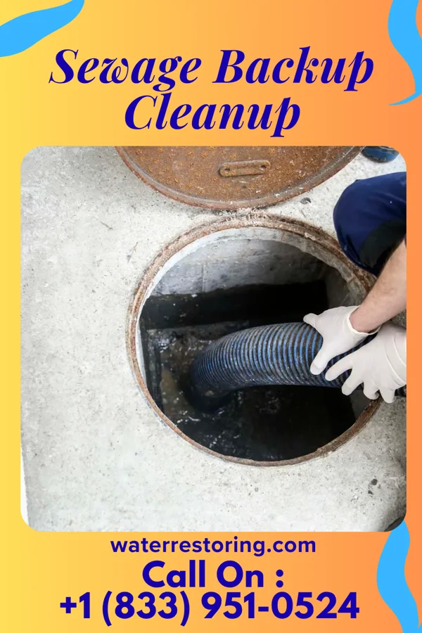Sewage Backup Cleanup in Norwood, NC